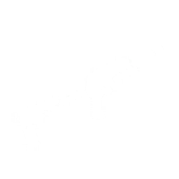 Airgun Icon.png