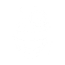 Grenade Icon.png