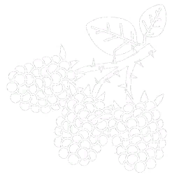 Blackberries Icon.png