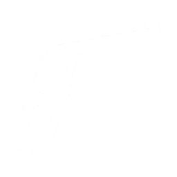 Compact Pistol Rail Icon.png