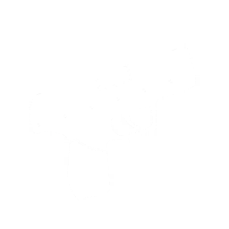 Compact Pistol Icon.png