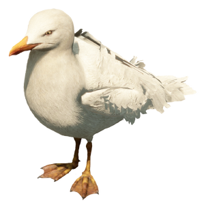 Seagull2.png