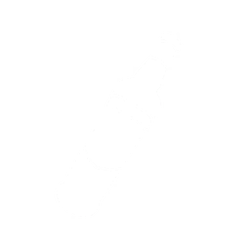 Vodka Bottle Icon.png