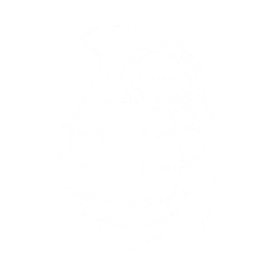 Grenade Icon.png