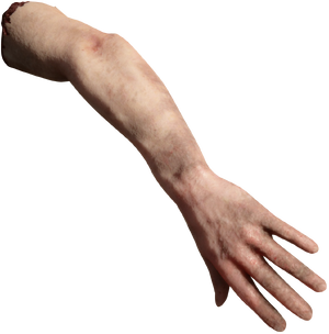 Arm.png