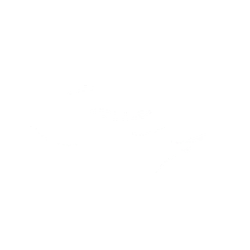 Cloth Icon.png