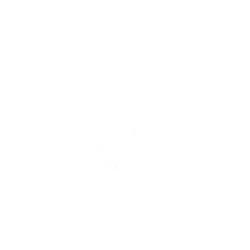 Energy Drink Icon.png