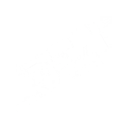 Rope Gun Icon.png