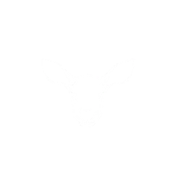 Deer Hide Armour Icon.png