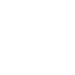 Leaf Armour Icon.png