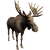 IconMoose.png