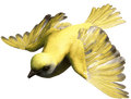 A yellow bird