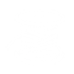 Wire Icon.png