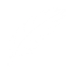Feather Icon.png