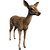 IconDeer.png