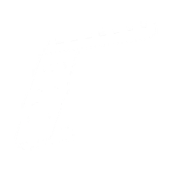 Compact Pistol Rail Icon.png