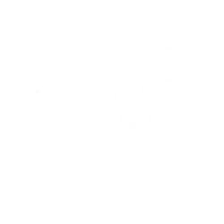 Compact Pistol Icon.png
