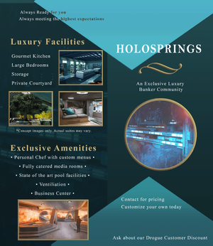 Holosprings Pamphlet.png